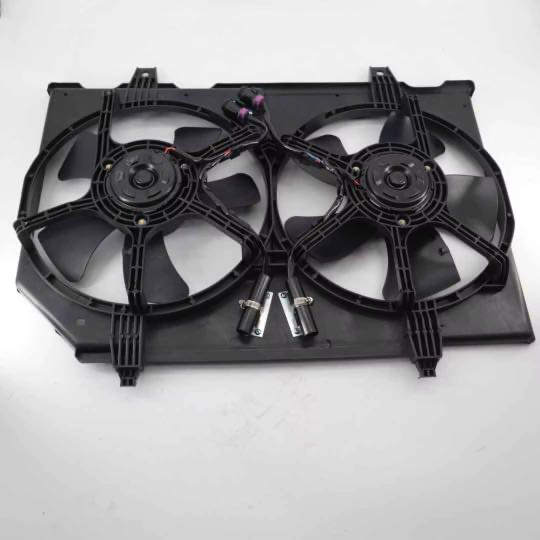 Moteur Ventilateur Radiateur